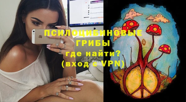 метамфетамин Алексеевка